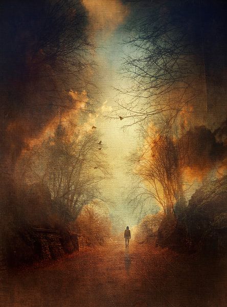 Daydreamer by Dirk Wüstenhagen