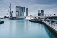 Rotterdam mit Erasmusbrücke von Ilya Korzelius Miniaturansicht