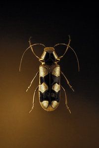 Beetle No.4 van SpaceCanvas