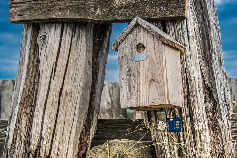 Geschlossenes Vogelhaus mit einem Schloss an der Tür in Molkwerum, Friesland. von Harrie Muis
