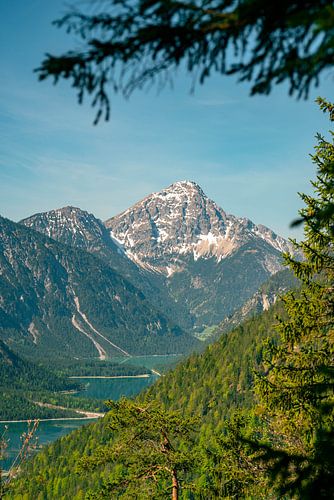 Prachtig uitzicht op de Plansee en de Thaneller