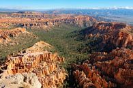 Bryce Canyon, United States par Colin Bax Aperçu