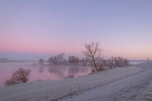 An einem Wintermorgen auf der Insel Maurik
