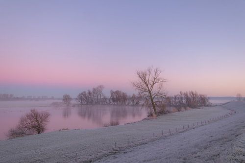 Op een winterse ochtend op het Eiland van Maurik