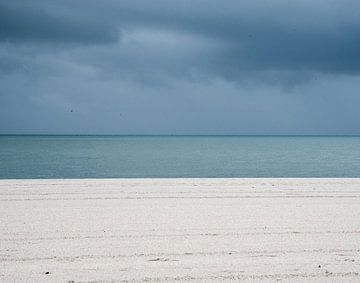 De mooiste kleuren worden ons door de natuur geschonken van Annelies Martinot