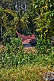 Maison Batak cachée dans la jungle sur Frank Photos