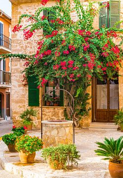 Maison avec des fleurs à Alcudia sur Majorque, Espagne Îles Baléares sur Alex Winter
