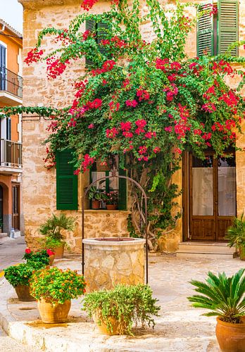Huis met bloemen in Alcudia op Mallorca, Spanje Balearen