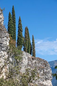 Au lac de Garde sur t.ART