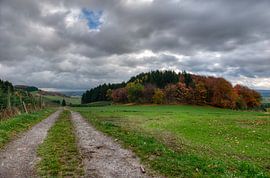 schilderijachtige herfst - Sauerland - Duitsland