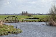 Polderlandschap van natuurgebied Willeskop in de provincie Utrecht van Robin Verhoef thumbnail