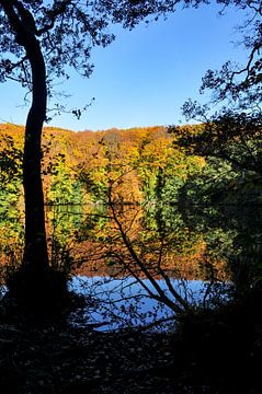 Hertasee im Nationalpark Jasmund