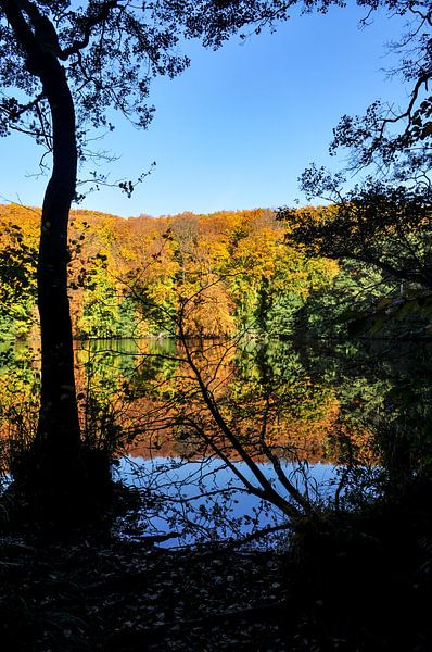 Hertasee im Nationalpark Jasmund von GH Foto & Artdesign