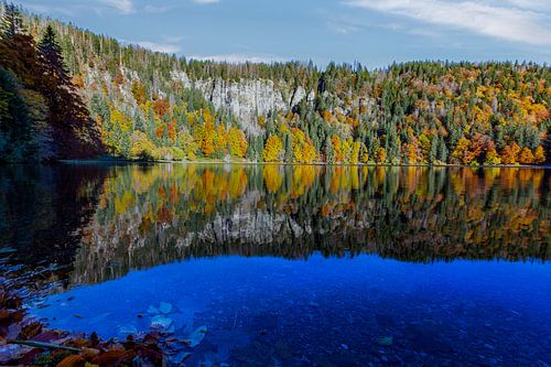 Herfstkleuren aan een meer in het Zwarte Woud