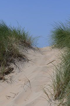 Où le sommet blanc des dunes sur Peter Bartelings