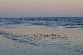 Morgenstimmung auf Usedom von Thomas Jäger