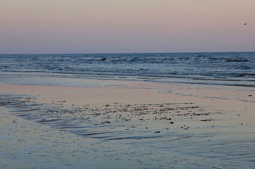 Morgenstimmung auf Usedom von Thomas Jäger