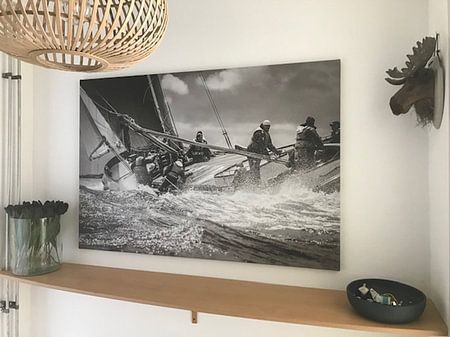 Segeln Skûtsje Leeuwarden