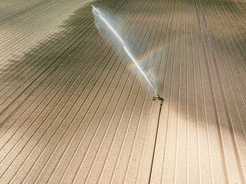 Irrigation pivot gun machine spraying water on a field during a  by Sjoerd van der Wal Photography