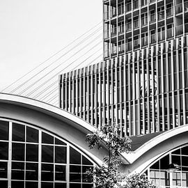 Rotterdam Kopf von Süd von Karin van Bylevelt