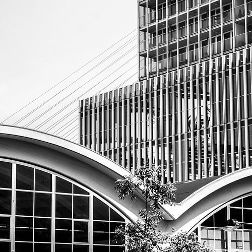 Rotterdam – Kop van Zuid: Iconische skyline in B&W