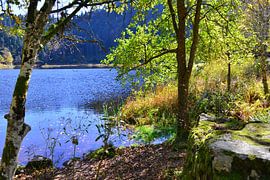 Nonnnenmattweiher im Schwarzwald von Ingo Laue