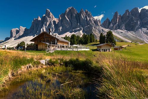 Geissler Groep in de Dolomieten