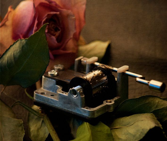 la vie en rose par Tim S. Trebla