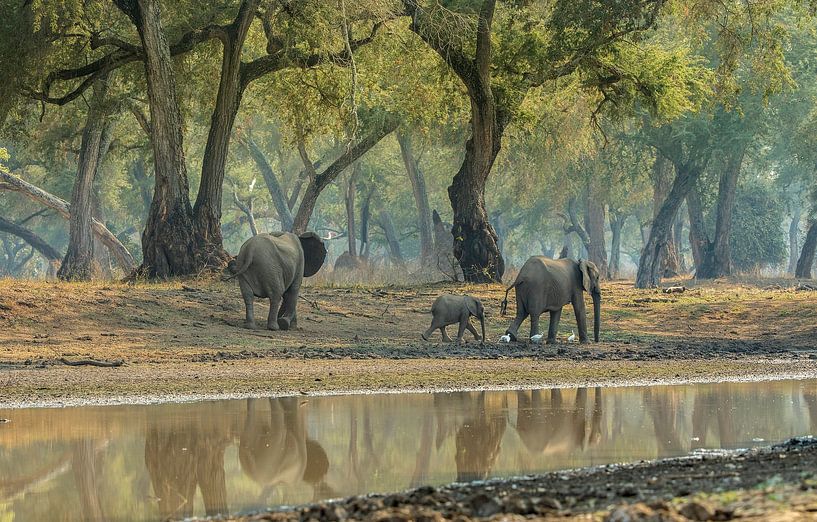 Manapools (zimbabwe) by Gonda van Wijk