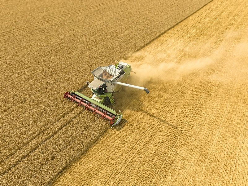 Combine harverster harvesting wheat during summer seen from abo by Sjoerd van der Wal Photography