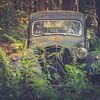 Une voiture ancienne abandonnée dans la forêt. sur Patrick Löbler