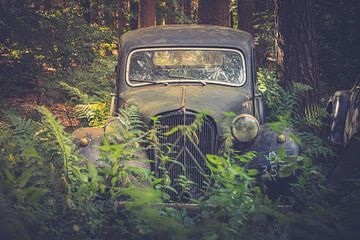 An abandoned vintage car in the forest. by Patrick Löbler