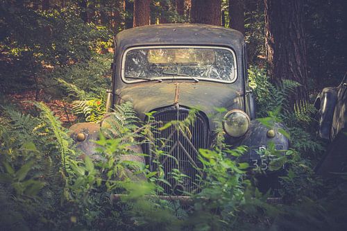 Ein verlassener Oldtimer im Wald.