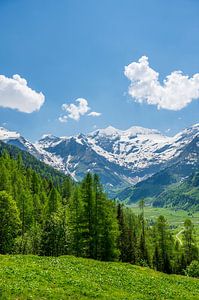 Alpen in Österreich im Frühling