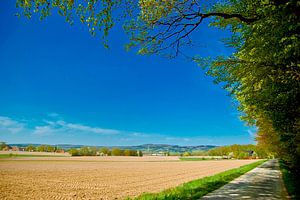 Landscape around Borgholzhausen (2) sur Norbert Sülzner