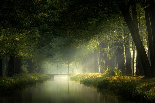 De ochtend is gebroken