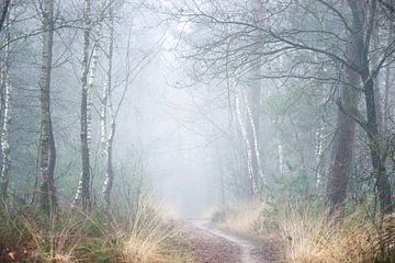 Winter-Flüstern von Roelie Steinmann