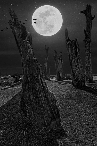 Mysterious night @ Molenplas Stevensweert by Rob Boon
