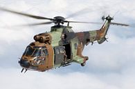 Spaanse Landmacht AS532 Cougar van Dirk Jan de Ridder - Ridder Aero Media thumbnail