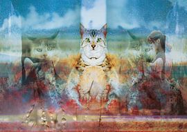 Furchtbar froh, unglücklich zu sein von Andreas Schulte