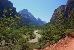 Zion-Tal