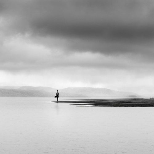 Die Dame vom See