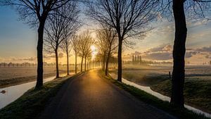 Op weg naar de zon van Rene Siebring