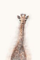 "Porträt einer jungen Giraffe" - Fotografie & Kunst