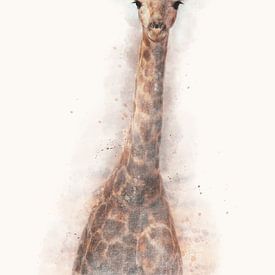 "Portret van een jonge giraffe" - Photography & Art van - GreenGraffy -