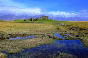 Landschap op IJsland van Patrick Lohmüller