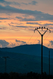 Des oiseaux à contre-jour sur Wisse Sluijters