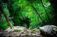 river stream Italy