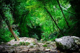 Flusslauf Italien von Branca Verheul