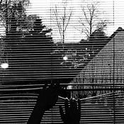 Christine Janse Profile picture